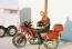 The Bike Doc