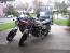 Bulldog9