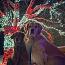Guy&2goldens