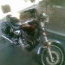 DVigue
