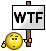 D.T.