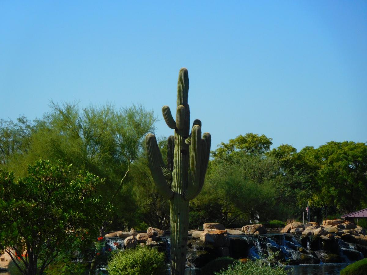 Click image for larger version

Name:	DSCN9783.JPG
Views:	110
Size:	132.7 KB
ID:	874647