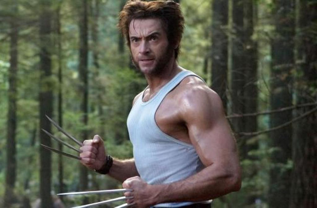Click image for larger version

Name:	Wolverine1.jpg
Views:	176
Size:	106.5 KB
ID:	876552