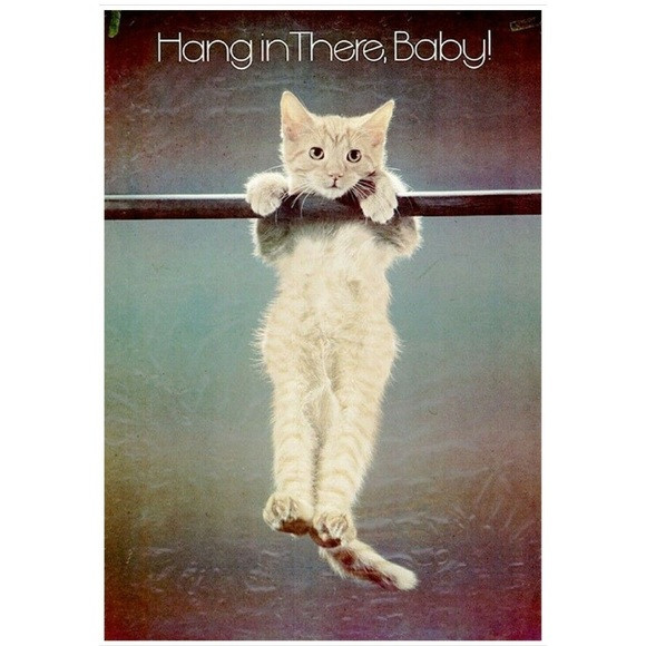 Click image for larger version

Name:	hang in there.jpg
Views:	97
Size:	85.5 KB
ID:	880713