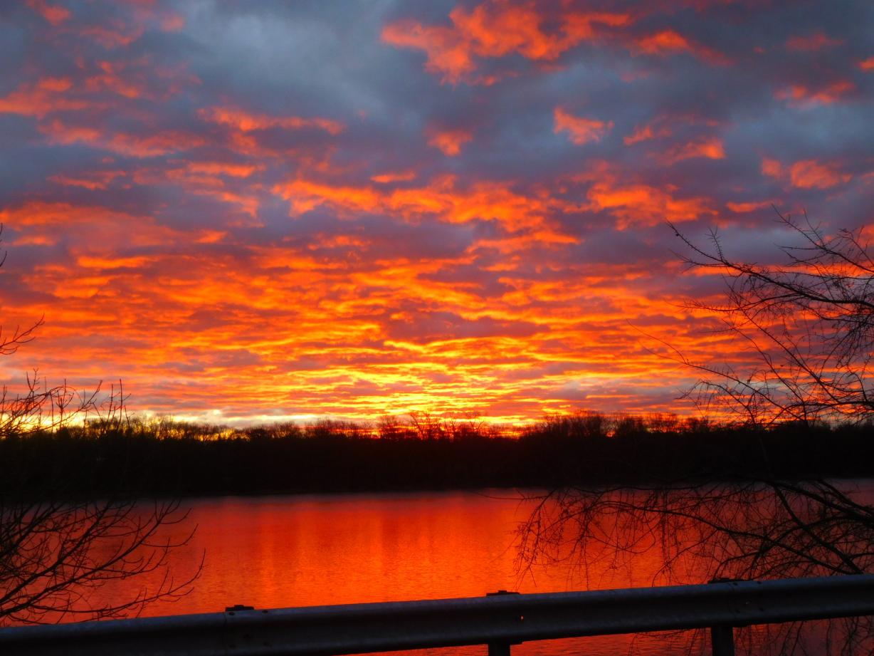Click image for larger version

Name:	DSCN3769.JPG
Views:	63
Size:	124.3 KB
ID:	882789