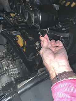 Click image for larger version

Name:	IMG_1587.jpeg
Views:	116
Size:	152.4 KB
ID:	882870