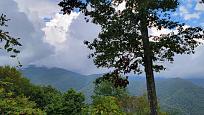 Click image for larger version

Name:	20250927_113051.jpg
Views:	0
Size:	233.2 KB
ID:	886241