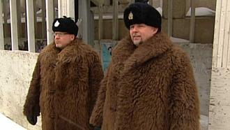 Click image for larger version

Name:	WPD Buffalo Coats.jpg
Views:	49
Size:	74.3 KB
ID:	886730