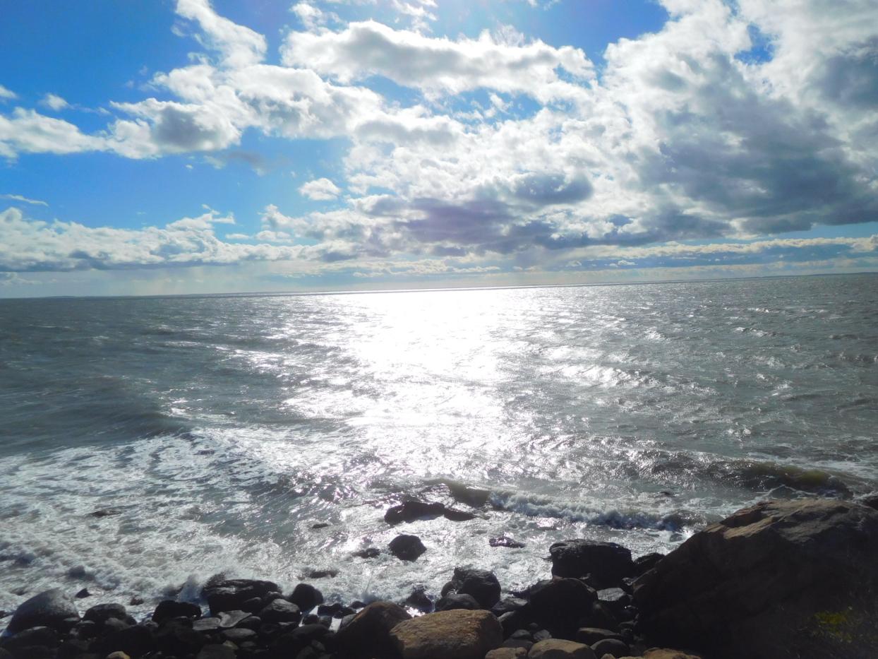 Click image for larger version

Name:	DSCN5936.jpg
Views:	37
Size:	159.8 KB
ID:	886734