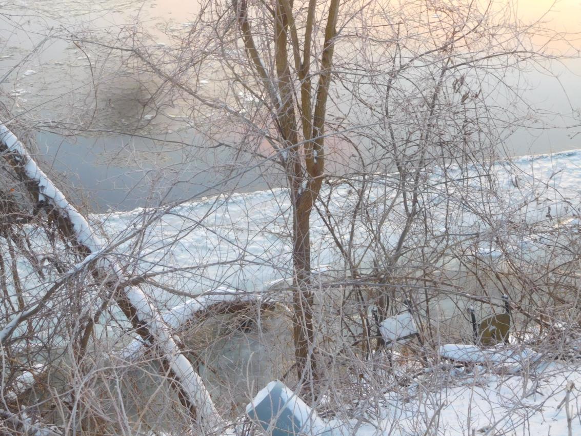 Click image for larger version

Name:	DSCN6053.jpg
Views:	21
Size:	214.2 KB
ID:	887020