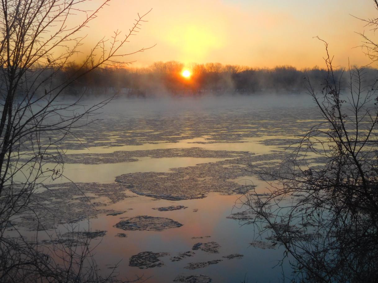 Click image for larger version

Name:	DSCN6052.jpg
Views:	21
Size:	156.6 KB
ID:	887021