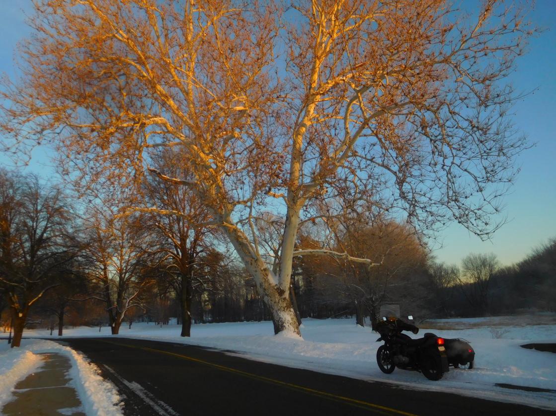 Click image for larger version

Name:	DSCN6065.jpg
Views:	23
Size:	178.0 KB
ID:	887100