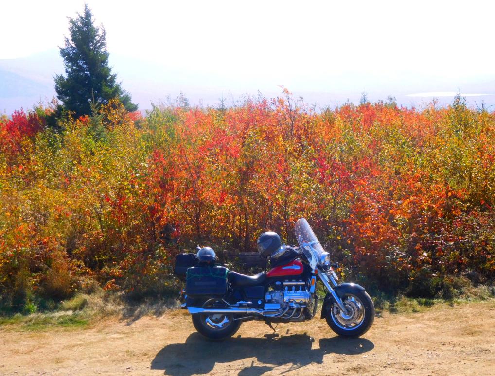 Click image for larger version

Name:	DSCN5699.jpg
Views:	0
Size:	169.2 KB
ID:	887415