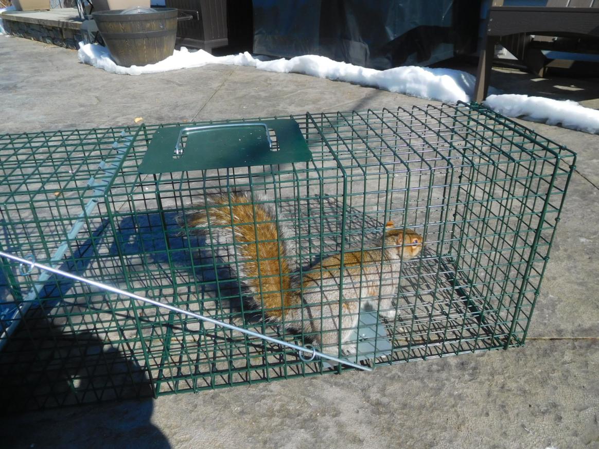 Click image for larger version

Name:	DSCN6126.jpg
Views:	5
Size:	199.4 KB
ID:	888519