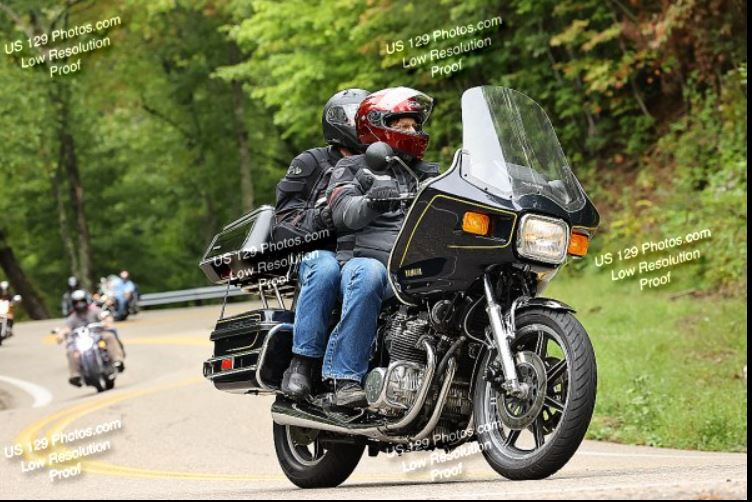 Click image for larger version

Name:	Bitch1.jpg
Views:	2
Size:	132.9 KB
ID:	888918