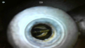 Click image for larger version

Name:	IMG_4450.PNG
Views:	418
Size:	388.9 KB
ID:	863441