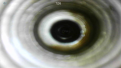 Click image for larger version

Name:	IMG_4452.PNG
Views:	401
Size:	368.3 KB
ID:	863442